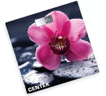 CENTEK CT-2421 Цветы