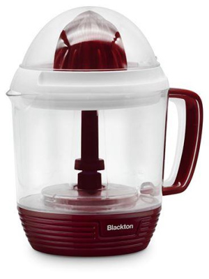 BLACKTON Bt J1112 Burgundy-White