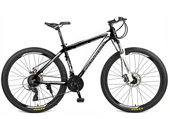 PIONEER ENERGY 29" AL/20" black-white-gray