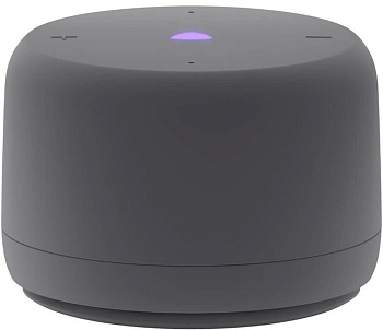 ЯНДЕКС YNDX-00028GRY Станция Лайт 2 с Алисой, без часов серая