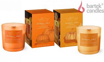 BARTEK Тыквенная приправа (PUMPKIN SPICE) 150гр в стакане