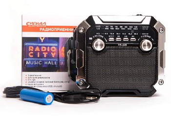 СИГНАЛ РП-228 УКВ 64-108МГц, 220V, акб 1200mA/h, USB/microSD/AUX, светодиодный фонарь/дискосвет