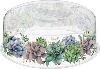 HOMVER Botanica D250мм с декором (бесцветный) 222132601/00