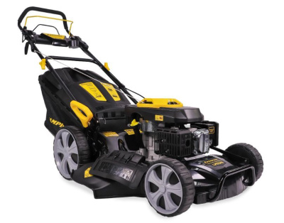 CHAMPION LM5345