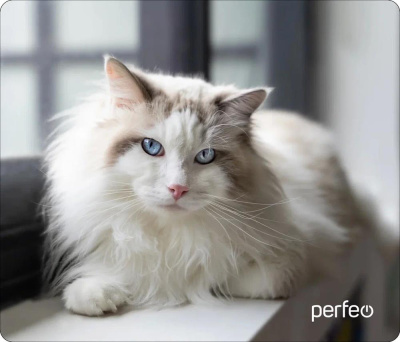 PERFEO (PF_D0690) "Пляж"