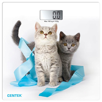 CENTEK CT-2426 KITTEN