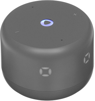 ЯНДЕКС YNDX-00026YNDX-00026GRY Станция Лайт 2 графит