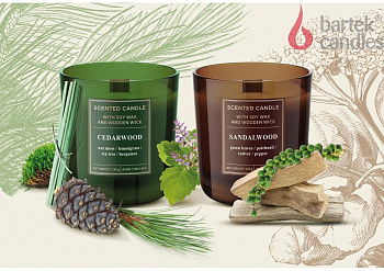 BARTEK Древесина (WOOD) 150гр в стакане