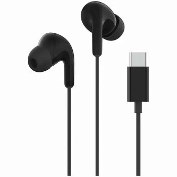 XIAOMI Type-C Earphones_черные (M2413E1) (BHR8930GL)
