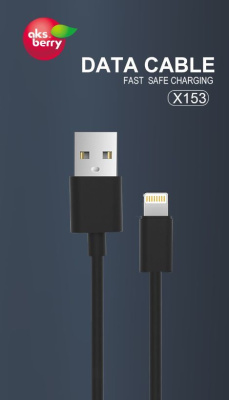 AKSBERRY (6900203290014) X153 для LIGHTNING 2.4А черный