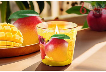 BARTEK Манго и фрукты (Mango & Fruits) 115гр в стакане