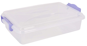 АЛЬТЕРНАТИВА М574 4,5л прямоугольный плоский