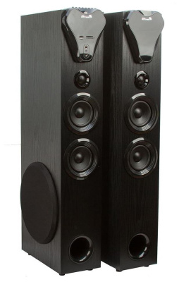 ELTRONIC (20-80) HOME SOUND черный - колонка 10