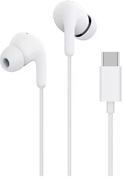 XIAOMI Type-C Earphones_белые (M2413E1) (BHR8931GL)