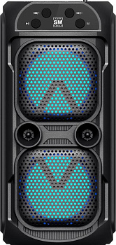 SOUNDMAX Портативное аудио SM-PS5039B(чёрный)