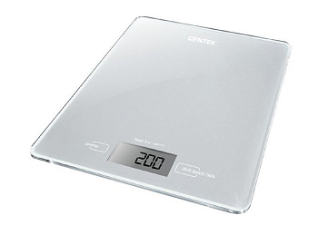 CENTEK CT-2462 silver