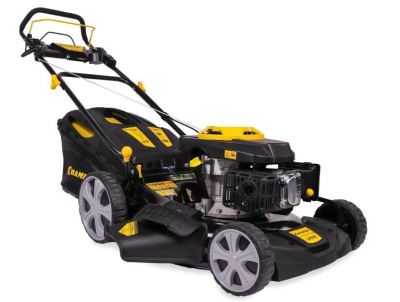 CHAMPION LM5131