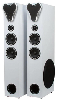 ELTRONIC (20-80) HOME SOUND серебро - колонка 10