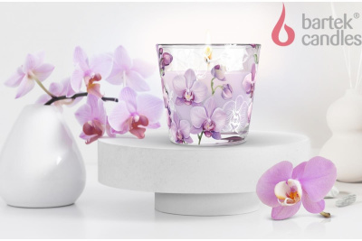 BARTEK Орхидея Фаленопсис (Orchid Phalaenopsis) 115гр в стакане