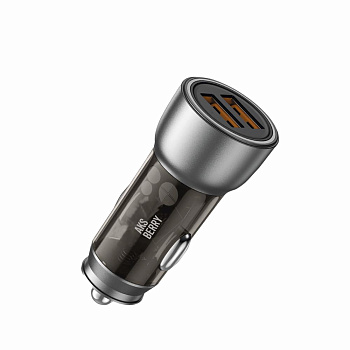 AKSBERRY (6900293350018) X100 2USB 3.1A, черный