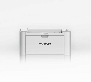 PANTUM P2518 White